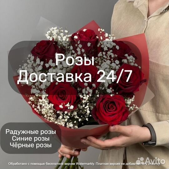 Розы, 101 роза, цветы