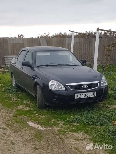 Дикая приора