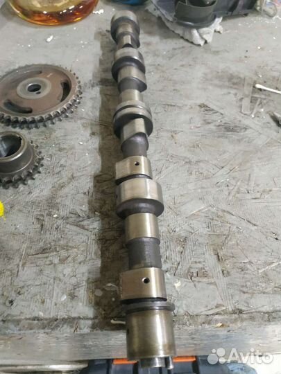 Звёзды, распредвал, грм 23DTR