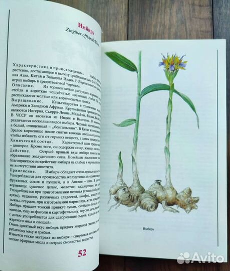 Ботанические книги специи, растения