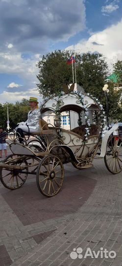 Экипаж для лошади - Карета 