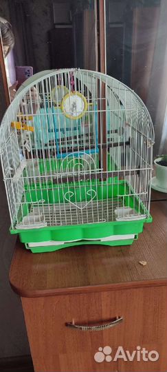 Клетка для попугая