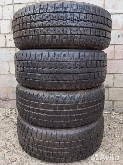 Dunlop Winter Maxx WM01 225/55 R17 97Q