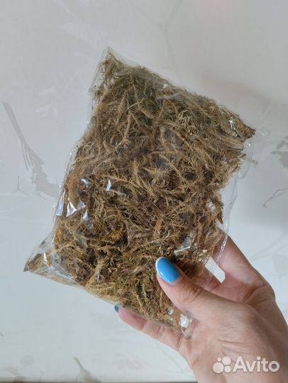 Мох сухой для декора (ягель, сфагнум)