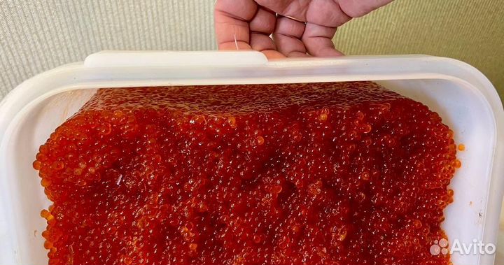 Икра красная Кета путина осень-2023 premium