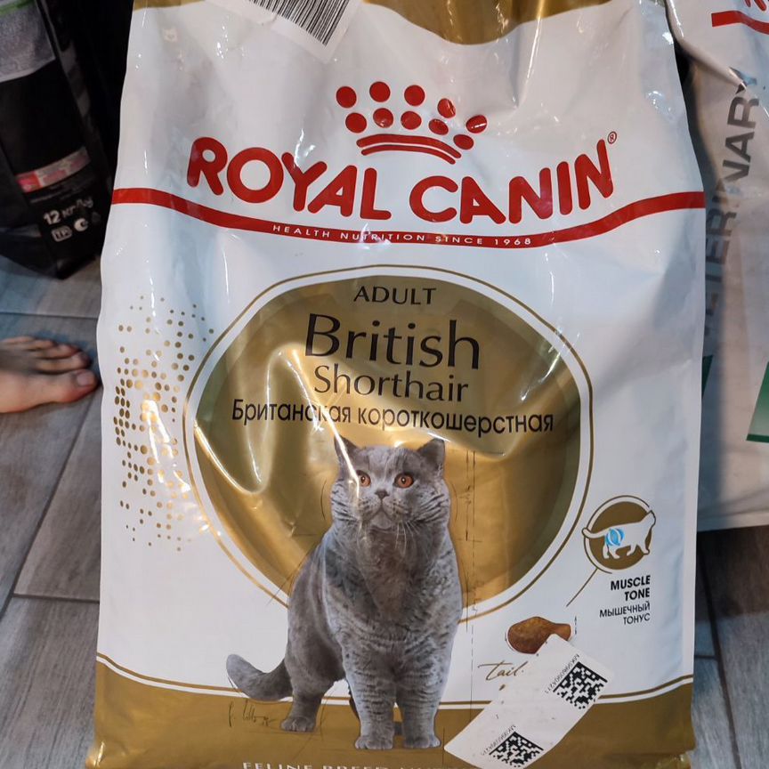 Сухой корм для кошек Royal Canin British, 10кг