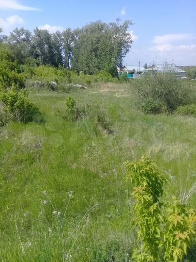 Участок 13,5 сот. (ИЖС)