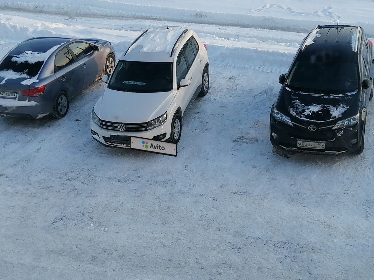 Volkswagen Tiguan: фото владельца