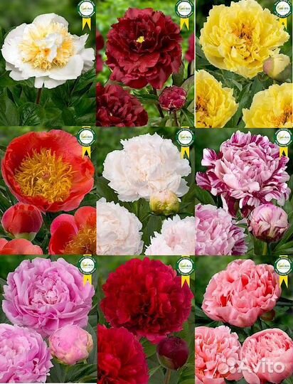 Без комьев чернозем Навоз крс,ЗИЛ 6Т,газель,камаз