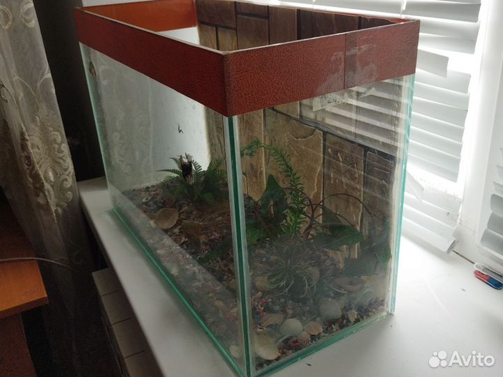 Аквариум для рыбок с фильтром