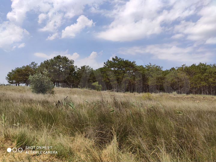 Участок 15 сот. (ИЖС)