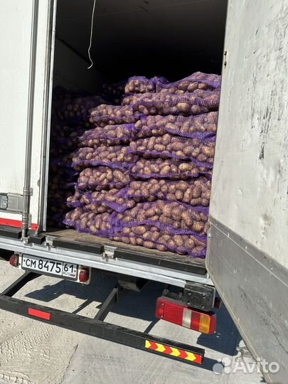 Продам картофель