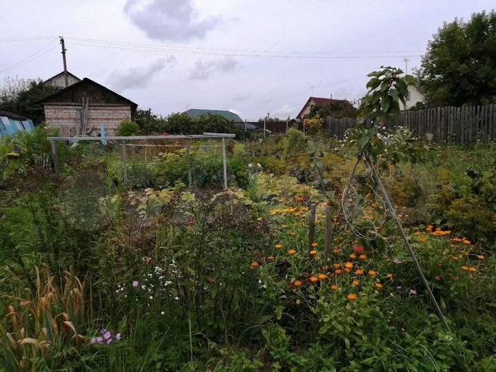 Участок 4,5 сот. (СНТ, ДНП)