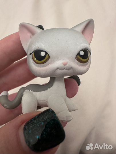 Lps серая стоя с карими глазами