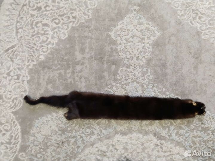 Норка шкурка целая