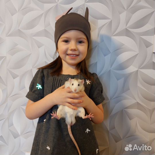 Костюм мышки карнавальный на 4-5 лет