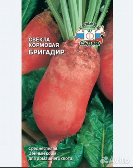 Семена кормовой свеклы