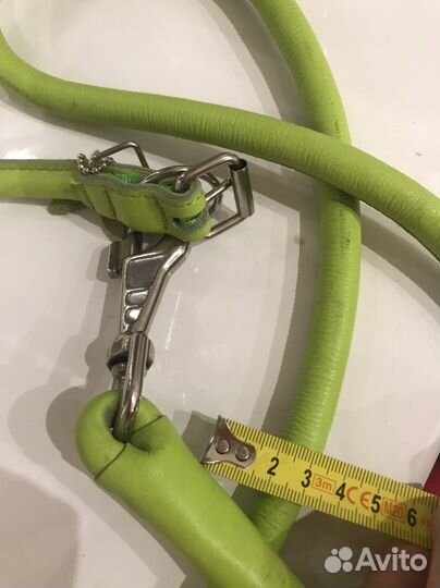 Ошейник и поводок