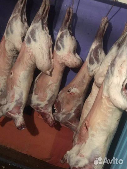 Мясо баранина халяль
