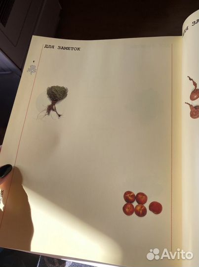 Энциклопедия садовода