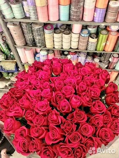 Розы Высокие Розы Гиганты Доставка Москва