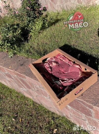 Мясо говядина