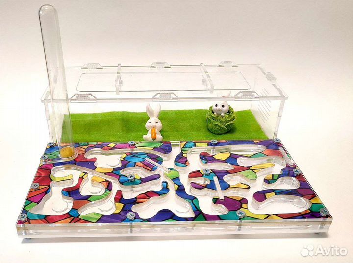 Муравьиная ферма новая