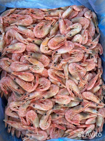 Креветка, крабы, лангустины, морепродукты опт