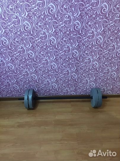 Штанга с блинами