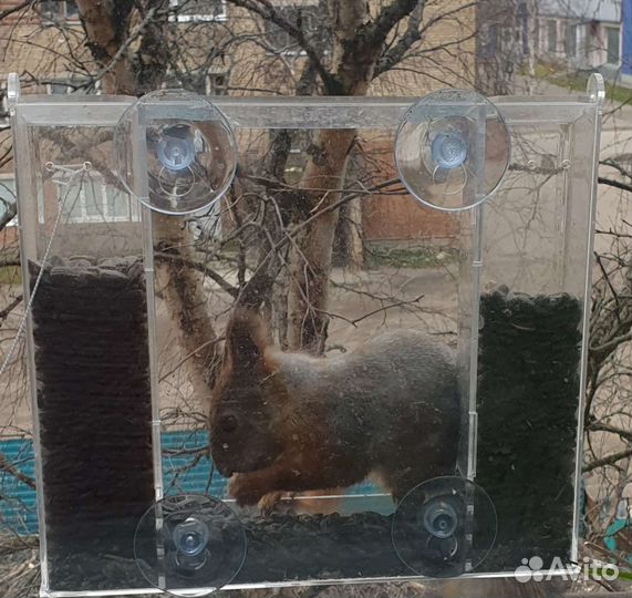 Кормушки для птиц