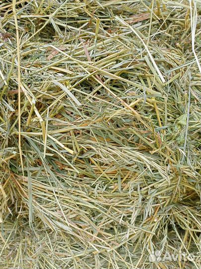 Сено, солома, подстилка в тюках