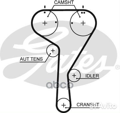Ремень грм 5680XS Gates