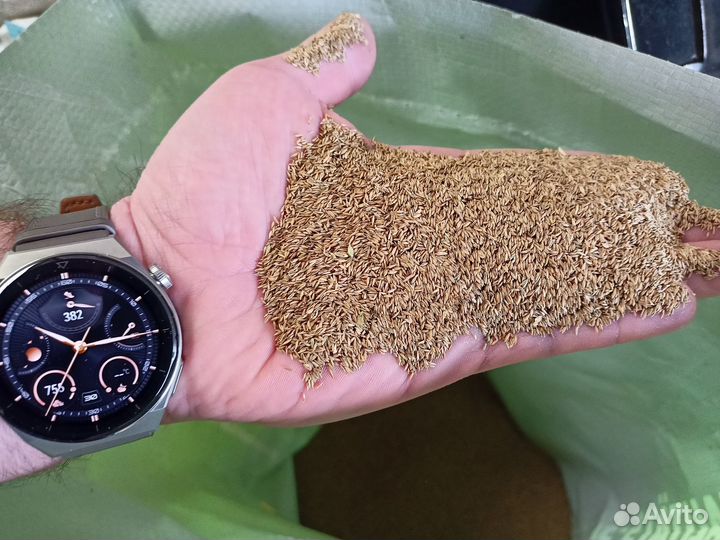 Семена газонной травы