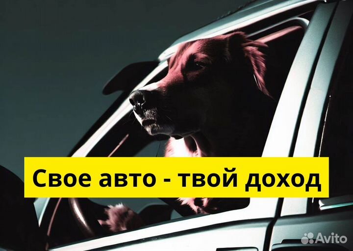 Работа с личным тс в Яндекс.Go