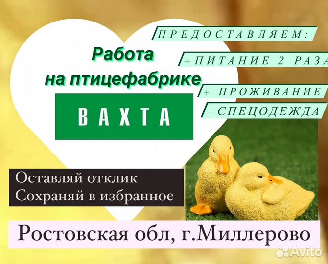 Сортировщик на птицефабрику в Миллерово