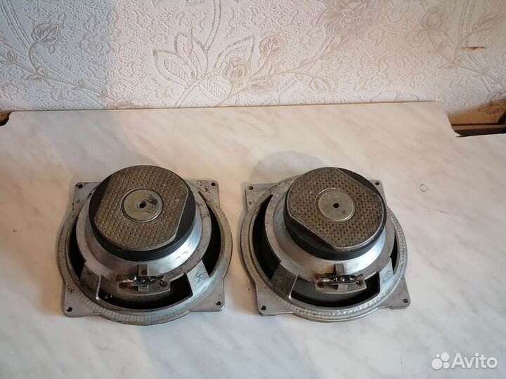 Динамики 25гд -26б