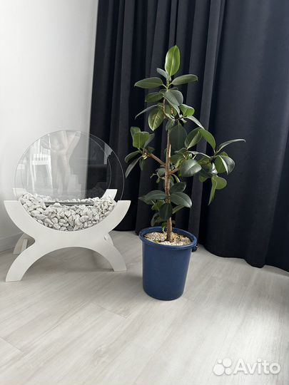 Биокамин напольный