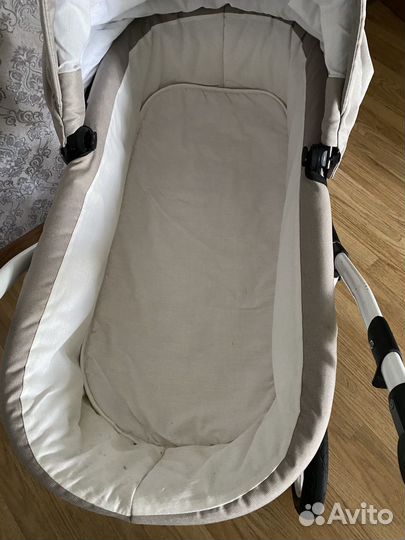 Коляска Alis Berta 2 в 1