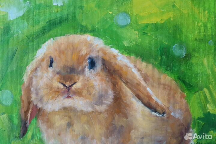 Картина маслом на холсте Рыжий Кролик
