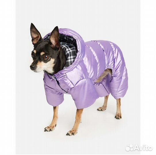 Одежда для маленьких собак