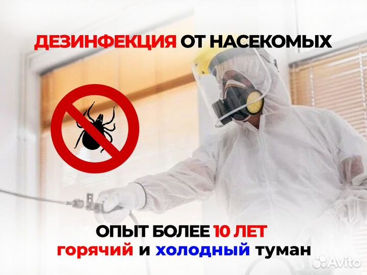 Дезинфекция обработка от клещей, тараканов, клопов