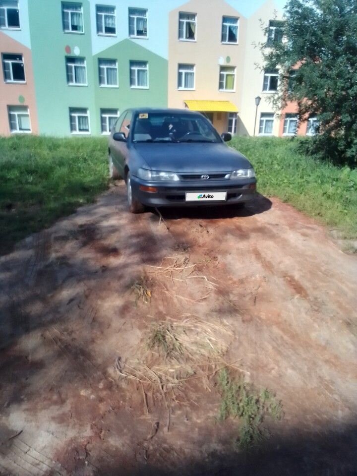 Toyota Corolla: фото владельца