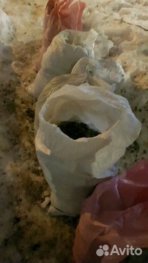 Голубиный помёт удобрения для овощей и цветов