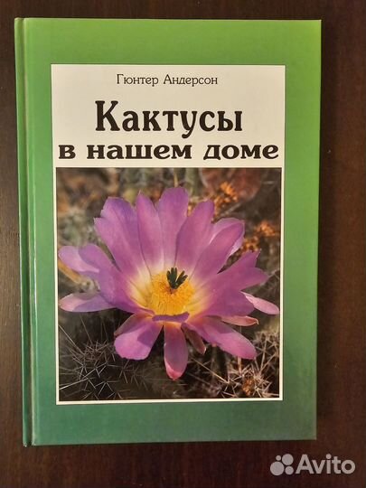 Гюнтер Андерсон Кактусы в нашем доме