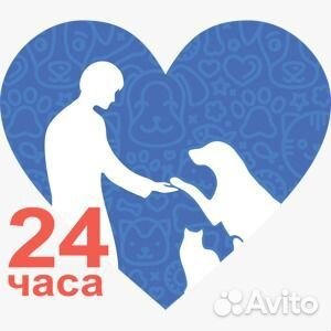 Администратор на ресепшен