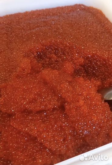 Красная икра 2023