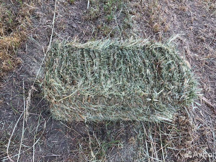 Сено с доставкой