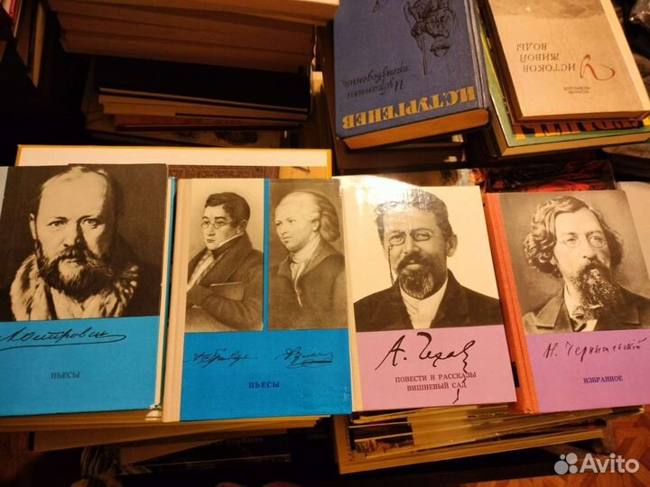 Жзл, Русская классика, школьная библиотека