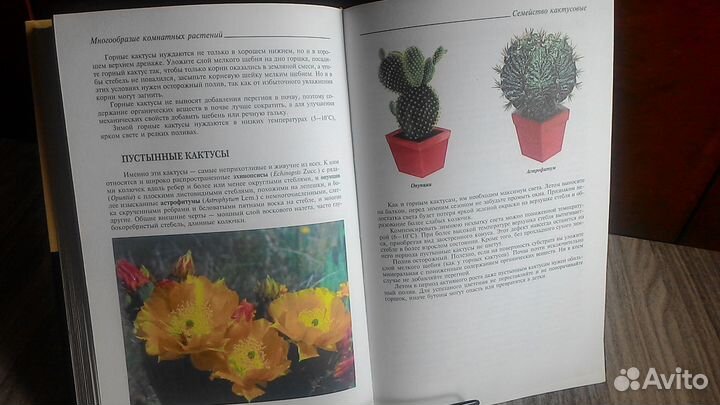 Полная знциклопедия комнатных растений