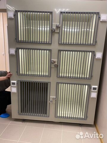 Передержка животных, стационар